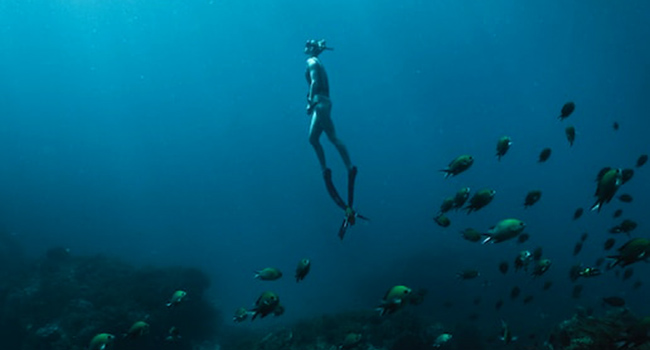 tarjeta-buceo tarjeta-buceo